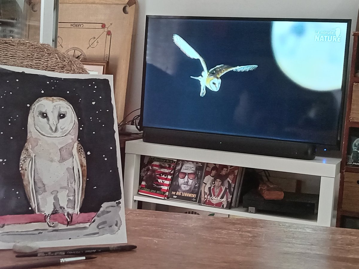 Bonne soirée !
#barnowl #watercolor