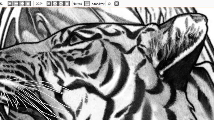 duckkckk's tweet image. tiger study (different variations