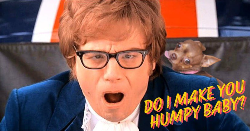 Humpy the Dog tweet media