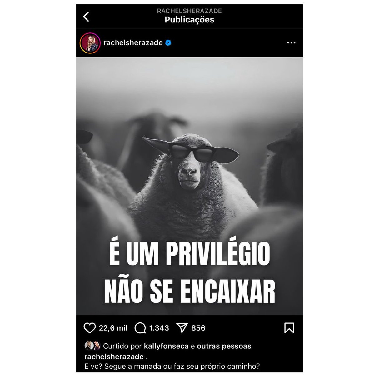 Central Reality tweet media