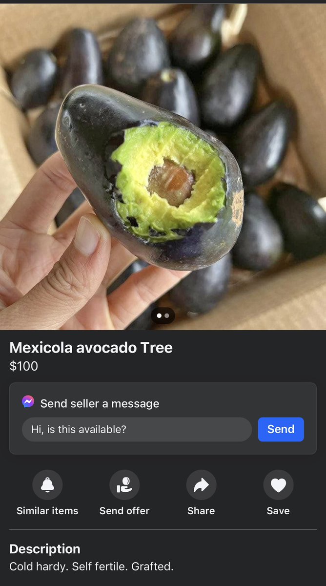 Ascension02's tweet photo. Ad from my local marketplace. Yesterday, I learned the Mexicola Avocado has edible skin. 🤯 https://t.co/cd2NKFGX2N