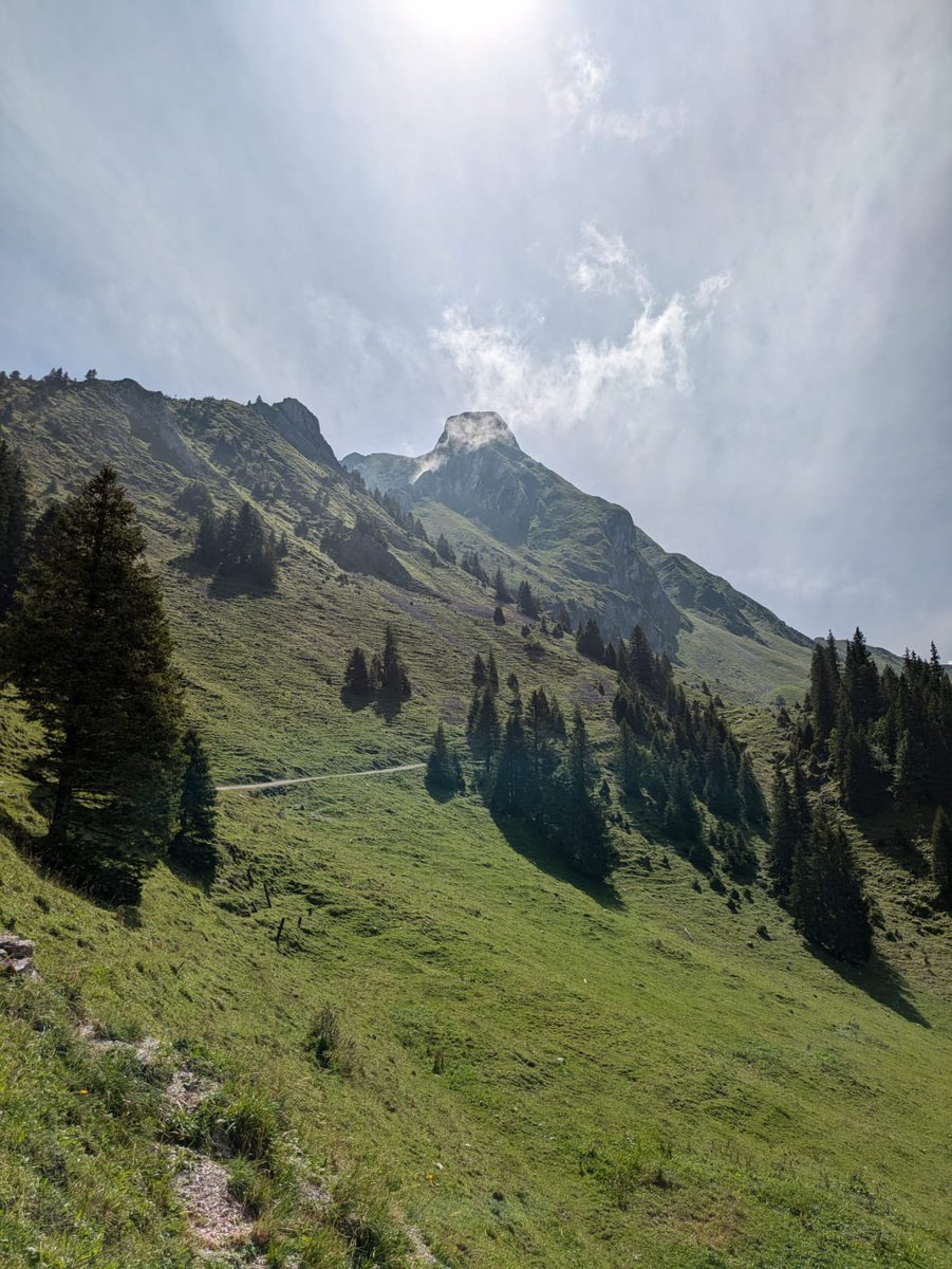 Matravers CCF tweet media