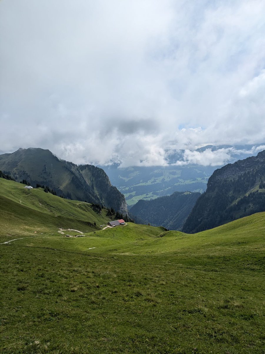 Matravers CCF tweet media