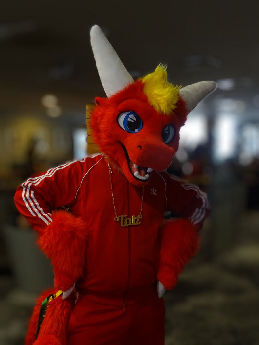 Tatz the Dragon tweet media