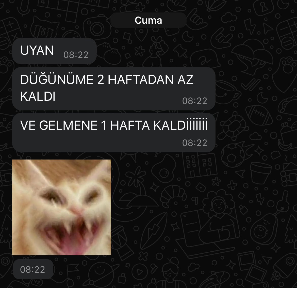 kubrabenya's tweet photo. En yakın arkadaşım evleniyor https://t.co/EMQS403FqT
