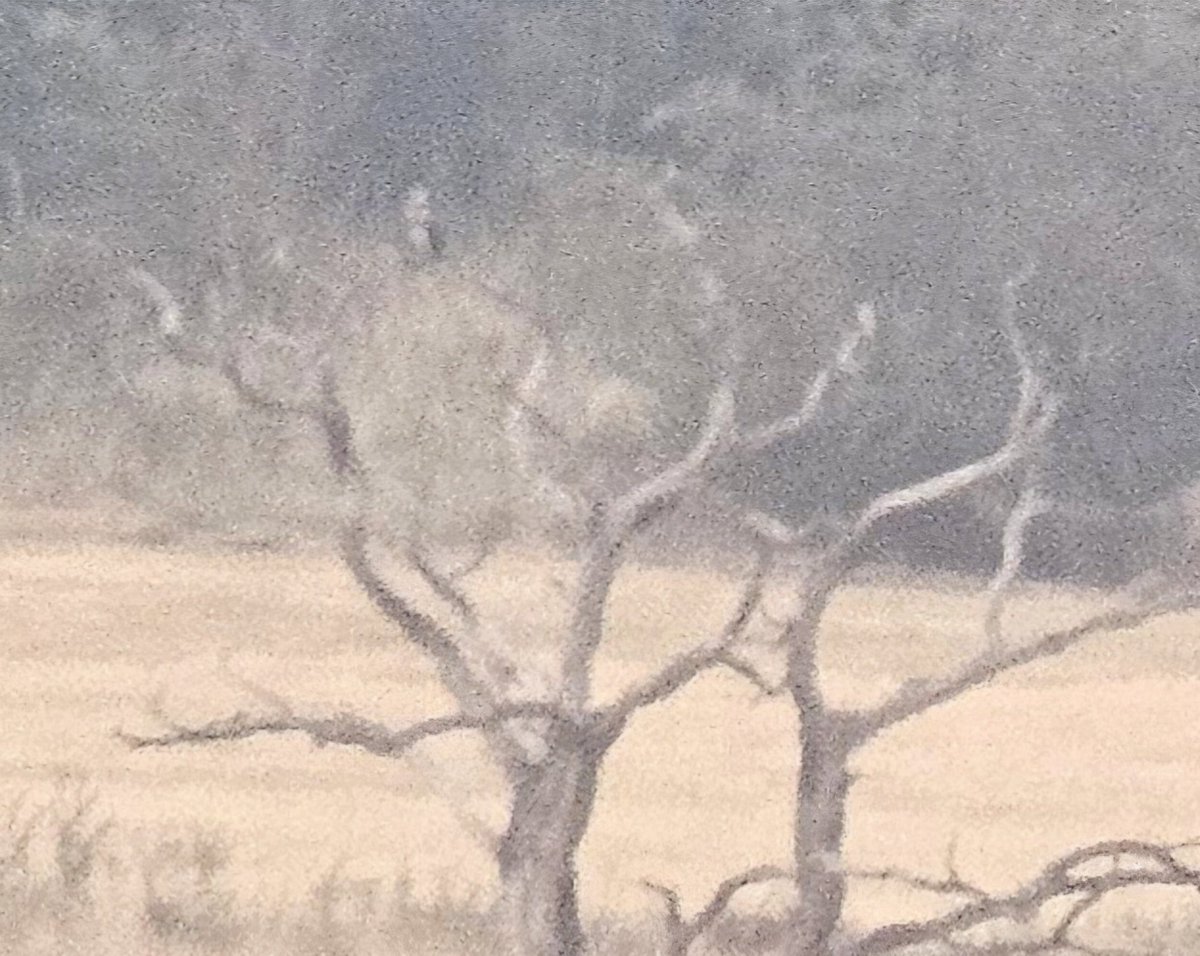 <a href="/maxshearwater/">Adrian Langdon</a> <a href="/CBWPS1/">Cornwall Birds</a> @CwallWildlife <a href="/CornwallOsprey/">Cornwall Osprey Sightings</a> <a href="/BobBosisto/">Bob Bosisto</a> <a href="/Kernowringer/">Peter Roseveare</a> <a href="/camelbirder/">Derek Julian</a> <a href="/BTO_Cornwall/">British Trust for Ornithology in Cornwall 〓〓</a> <a href="/JasminaGoodair/">Jasmina Goodair</a> That's not a distant Osprey.
This is a distant Osprey! 😅