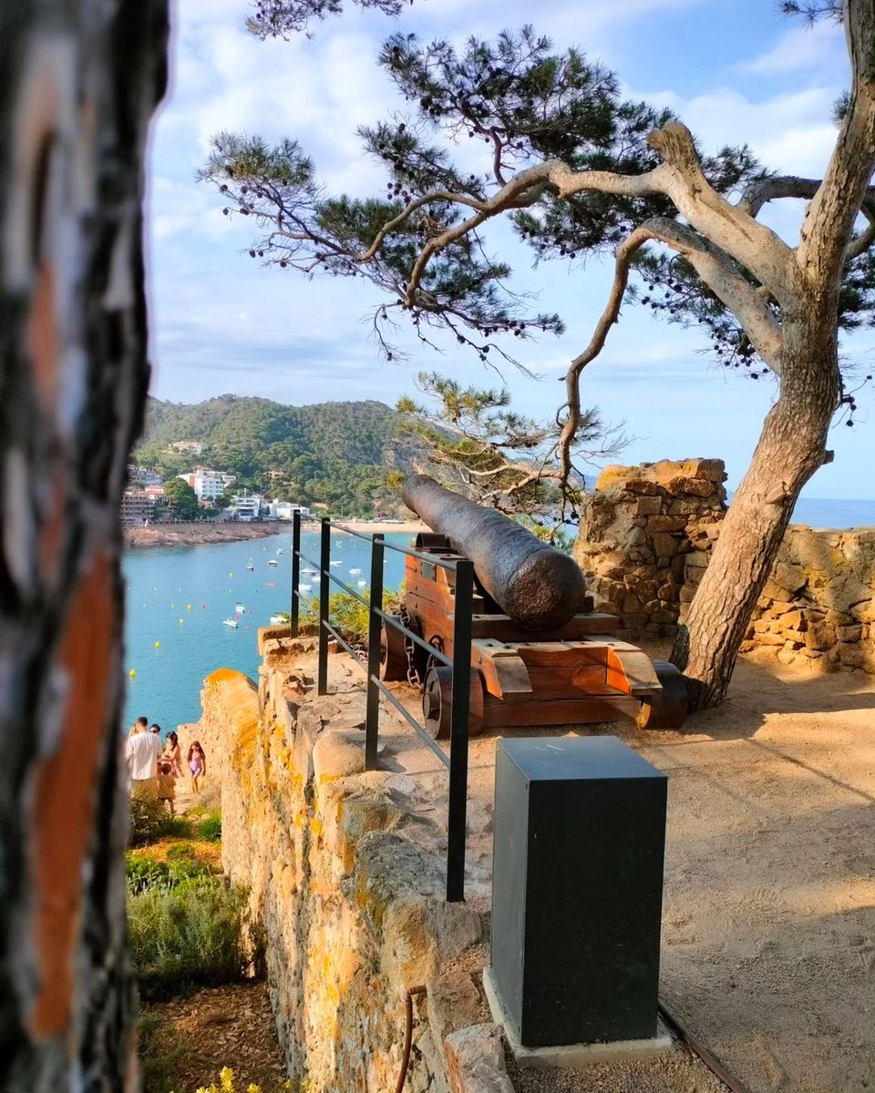 TossaTurisme's tweet photo. ¿Cuál es, para ti, la imagen más icónica de Tossa? 💜 @catexperience 📸 https://t.co/tHR02zHfYB ☀️🐚🌿 https://t.co/SkyU9NfRnu