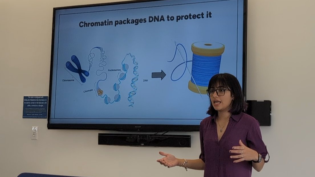 snickclunk's tweet image. Summer project wrap-ups, part 2🎉 
@UML_Biology junior Kelin Funes returned for a second summer, this time as an NSF LSAMP fellow through @UML_OMA! 🙌She expanded her project &amp;amp; also helped wrangle team NuRD (the new sophomores) as they pulled their story together for publication!