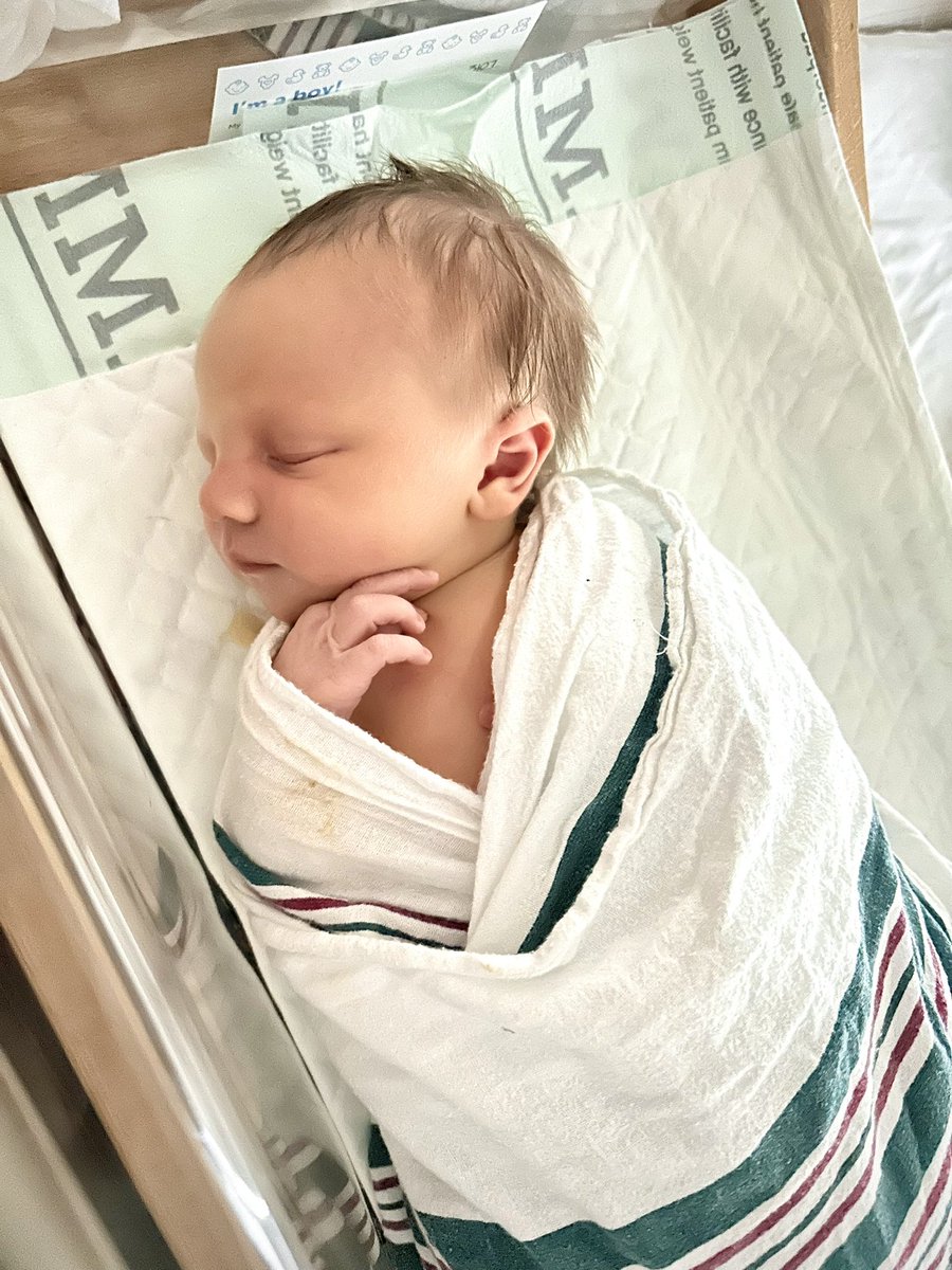 Hannah Hurtado | UGC Creator tweet media