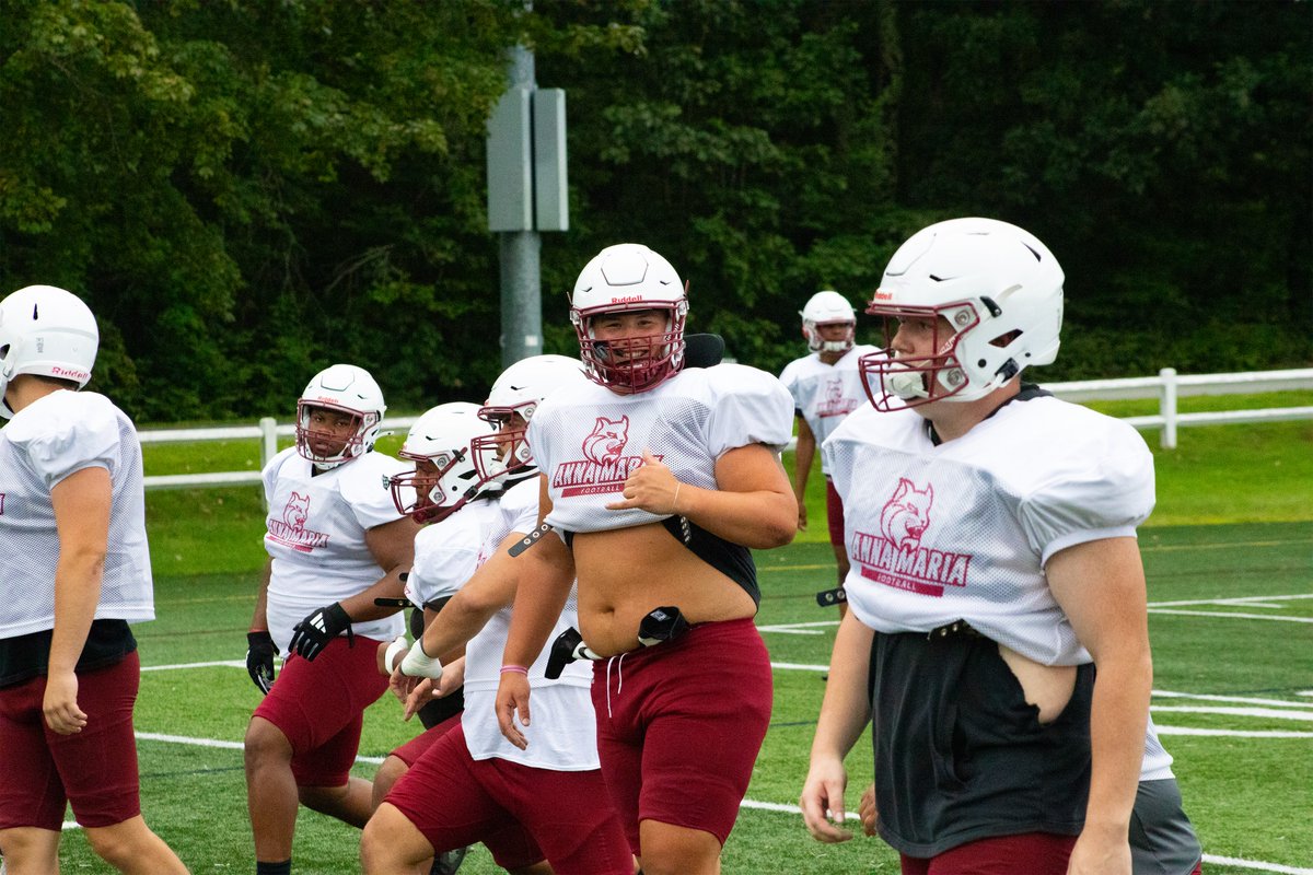 Work never stops! #goamcats