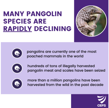 UW Center for Environmental Forensic Science tweet media