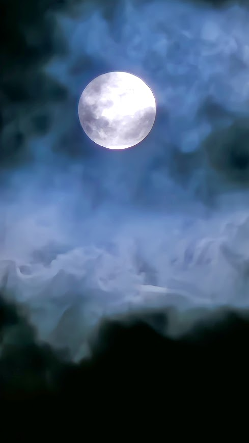 Franco Bacardi tweet media