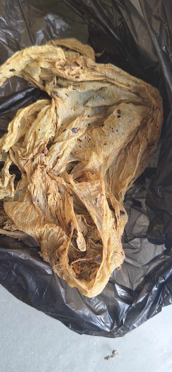 Foundation For Feathered Friends tweet media