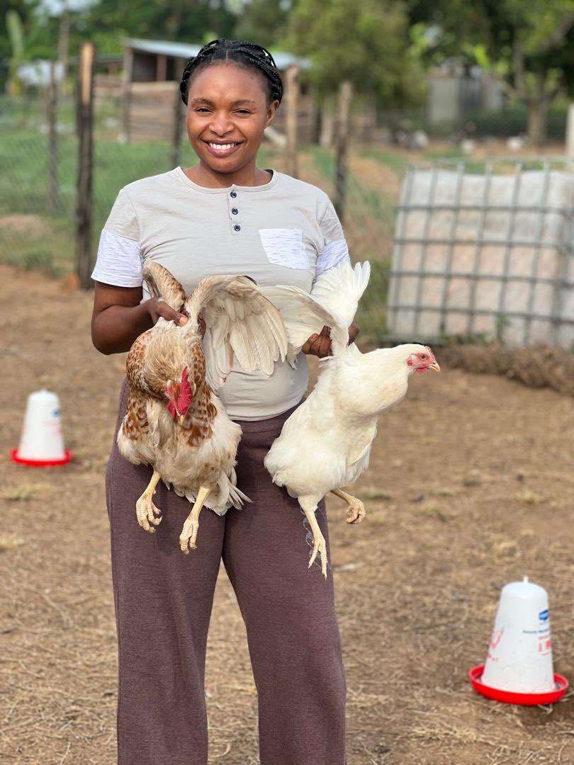 DenisDukeUG's tweet photo. Agriculture is now becoming more viable because more women are joining ✅️🌱💯 and it's having a positive impact on the sector.

This is due to 
1. Increased labor force_: Women bring additional hands to the farm, increasing productivity and efficiency.

2: Another reason is Improved decision-making_: Women's involvement leads to more diverse perspectives and better decision-making.

3. Enhanced innovation: Women are introducing new ideas and approaches to farming, driving innovation.

4. _Better resource management_: Women tend to be more meticulous in managing resources, leading to reduced waste.

5. _Increased food security_: Women's involvement ensures that farming prioritizes food security and nutrition.

6. _Empowerment and income generation_: Agriculture provides women with an opportunity for economic empowerment.

7. _Role models and mentorship_: Women in agriculture inspire and mentor others, creating a ripple effect.

8. _Improved market access_: Women's participation helps tap into new markets and customers.

9. _Diversified farming systems_: Women promote diversified farming, reducing reliance on single crops.

10. _Climate resilience_: Women's involvement enhances climate resilience and adaptation strategies.

As more women join agriculture, the sector becomes more dynamic, innovative, and sustainable. It's essential to continue supporting and empowering women in agriculture to drive positive change!

Today let’s celebrate those women in agriculture: Tag or Quote this tweet with a picture of that woman making a difference. 

Below are some I can think of @SangwaSifa, @SarahWNjoroge , @MarthaPoundsUg , @violetnakitende