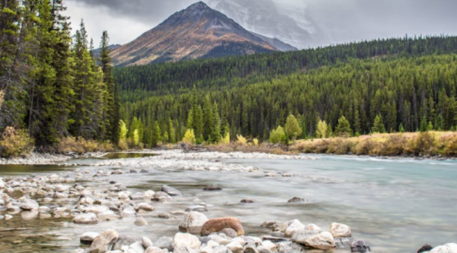 Canadian Water Resources Association tweet media