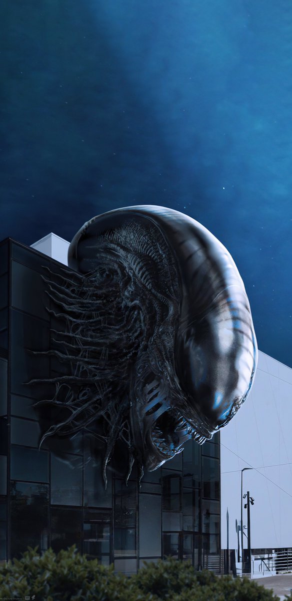 theKomixBro's tweet photo. IMAX Alien: Romulus (4K UHD) Textless MOBILE WALLPAPER for iPhone & Samsung!
💥4K: 1868 × 3840
💥Textless by Me: @theKomixBro
#4K #iPhone #IMAX #Alien #Aliens #movie #movies #horror #alienxi #RidleyScott #Prometheus #alienmovie #alienmonth #horrormovie #HorrorMovies #AlienRomulus #AlienCovenant #AlienRomulusTH #IsabelaMerced #alienvpredator #iPhoneWallpapers #WallpaperiPhone #alien45thanniversary