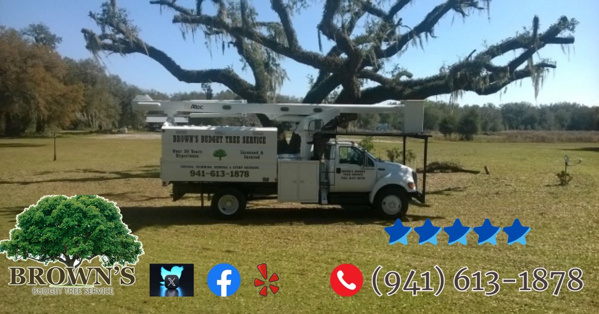 BrownBudget's tweet photo. Budget Tree Service has been serving the Port Charlotte area for over 30 years for tree services.   We are grateful for all of our customers over the years and welcome our multi-generational customers! https://www.brownsbudgett https://t.co/0QeEzStcxN https://t.co/sJvAlW6HGd