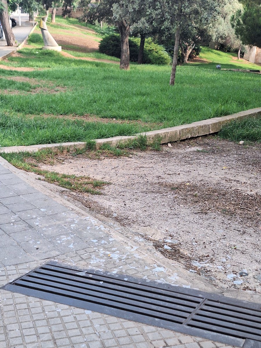 Al carrer son espanyolet a l'alçada de l'entrada del parc Sagrat Cor hi ha un semàfor penjant i vidres al terra des de fa dies, fa temps que els veïnats estem dient de l'existència dels vidres a terra a l'ajuntament i no s'han llevat éssent un perill. <a href="/ajuntpalma/">Ajuntament de Palma</a> <a href="/EMAYA_Palma/">EMAYA</a>
