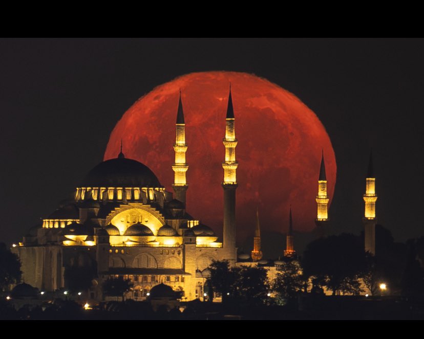 prem_se_s's tweet photo. En çok sana yakışıyor İstanbul 

#dolunay https://t.co/M1qPLRJUvo