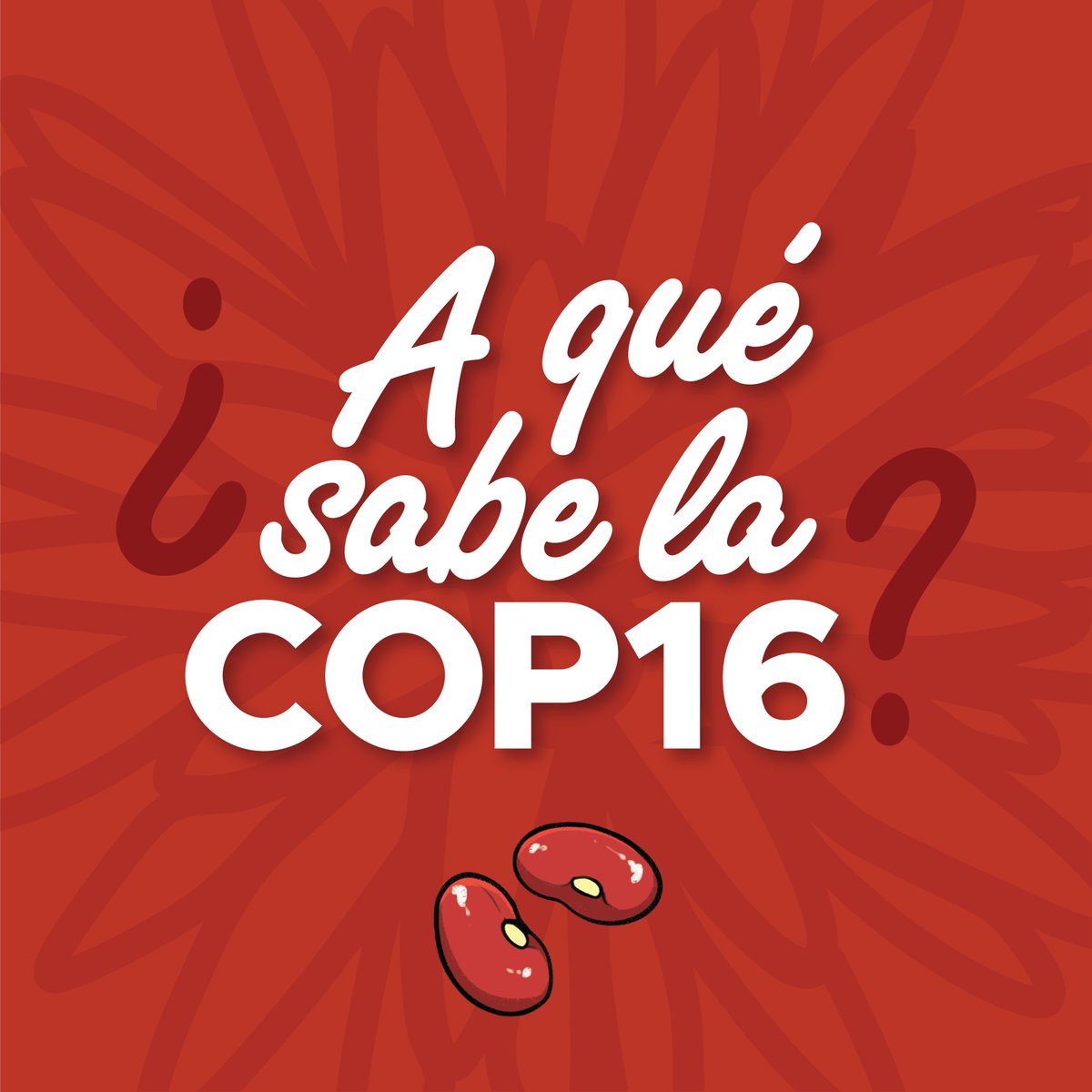 BiovIntCIAT_esp's tweet photo. ¡El chachafruto no solo es un superalimento, sino también un héroe en tiempos difíciles!🤩
🌳 Usado como árbol de sombra para el café, ha salvado a comunidades de hambrunas en inviernos duros🥶
¡Descubre sus beneficios y comparte tus recetas con #AquesabelaCOP16! 🌟 https://t.co/HGGq6DHIM3