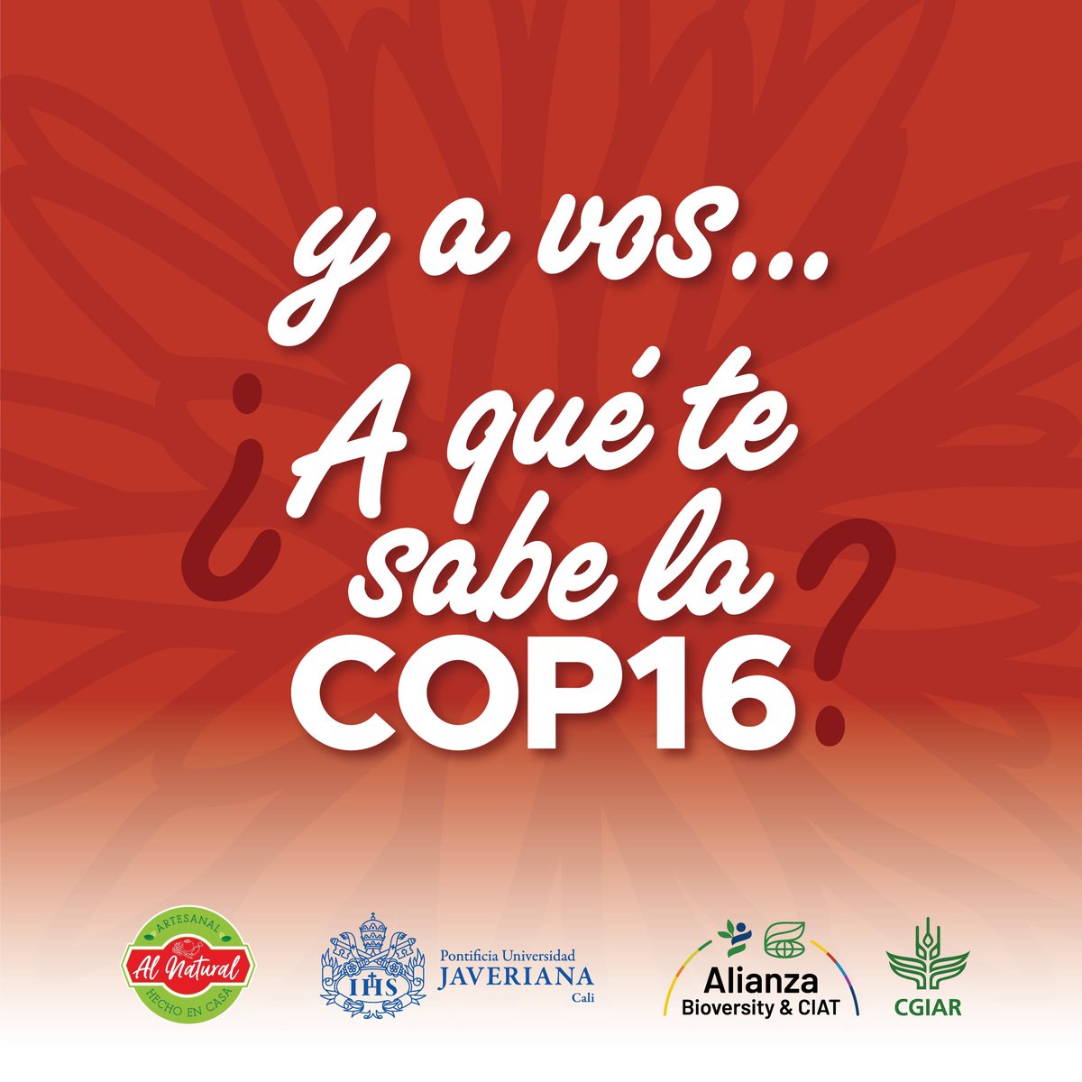 BiovIntCIAT_esp's tweet photo. ¡El chachafruto no solo es un superalimento, sino también un héroe en tiempos difíciles!🤩
🌳 Usado como árbol de sombra para el café, ha salvado a comunidades de hambrunas en inviernos duros🥶
¡Descubre sus beneficios y comparte tus recetas con #AquesabelaCOP16! 🌟 https://t.co/HGGq6DHIM3