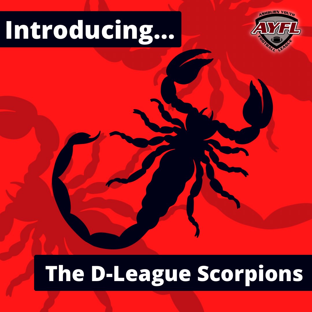 Last but certainly not least, here is the final 2024 Fall Tackle team!

Next up: The D-League Scorpions
Sponsored by: @domepiecedotnet 

Let’s go, Scorpions! Have a great season!

#AYFL #Ashburn #Loudoun #NOVA