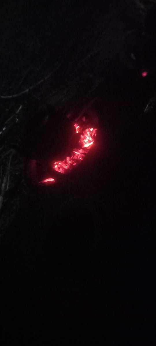 beesting19945's tweet image. قهوة ع ضوء القمر 🥰✌🏽