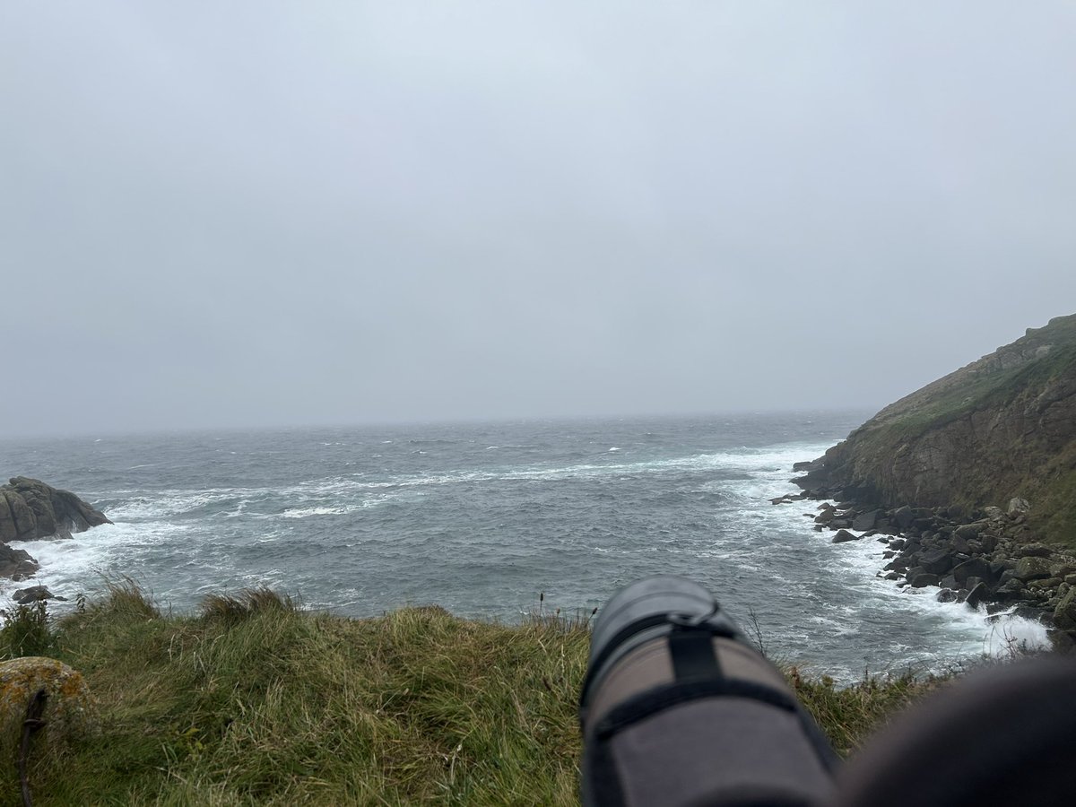 SW storm and PG all to myself this evening!