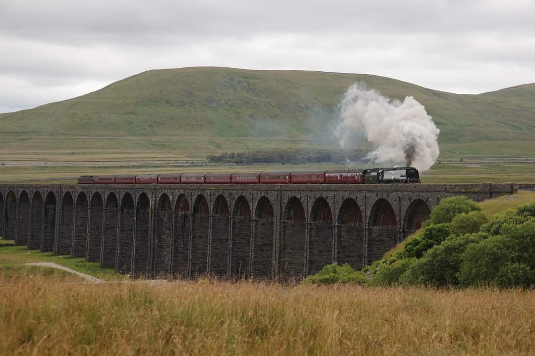 World Photography Day , behind a camera my happy place