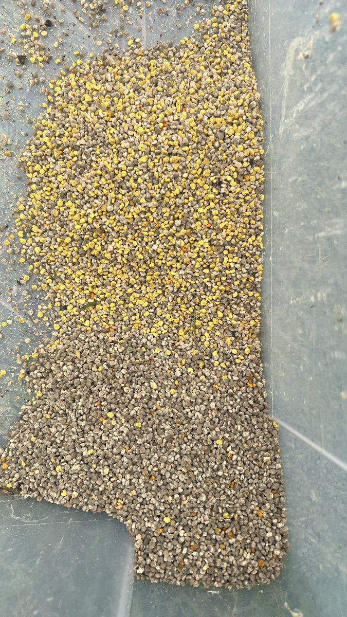 Olly's Farm | Honey Farm 🇮🇪 tweet media