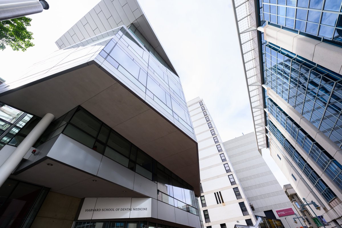 Life’s a journey—don’t forget to look up and enjoy the view along the way 🏙️

PC: Gretchen Ertl