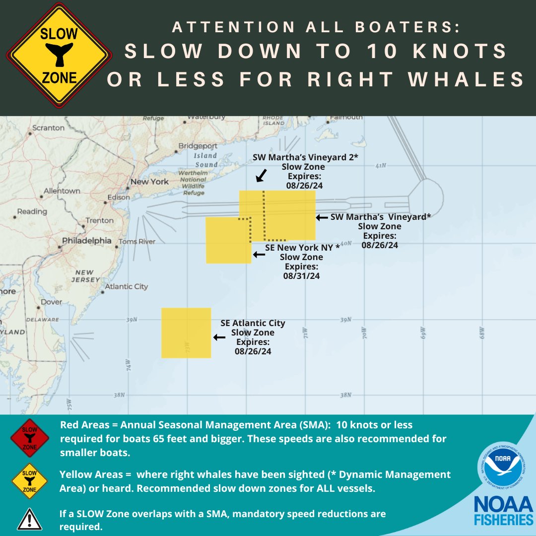 NOAAFish_GARFO's tweet photo. New #RightWhale #SlowZone SE of New York, NY in effect through 8/31. Mariners are requested to avoid or transit at 10 kts or less. See map for location of all the Slow Zones. Sign up for alerts here: https://t.co/0MHd7cc10Q https://t.co/34XPgParOm