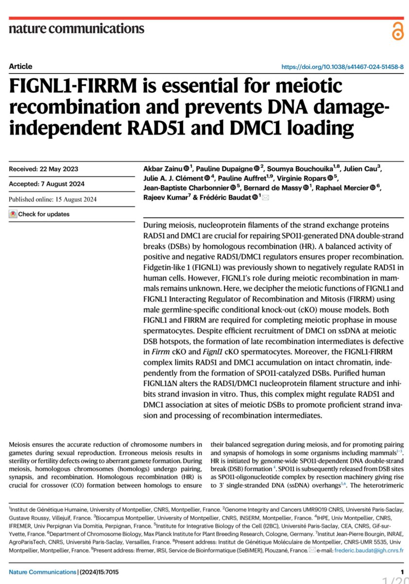 Soumya Bouchouika tweet media