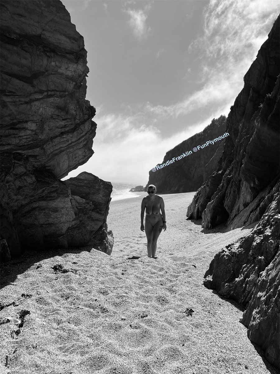 Niffler2019 tweet media