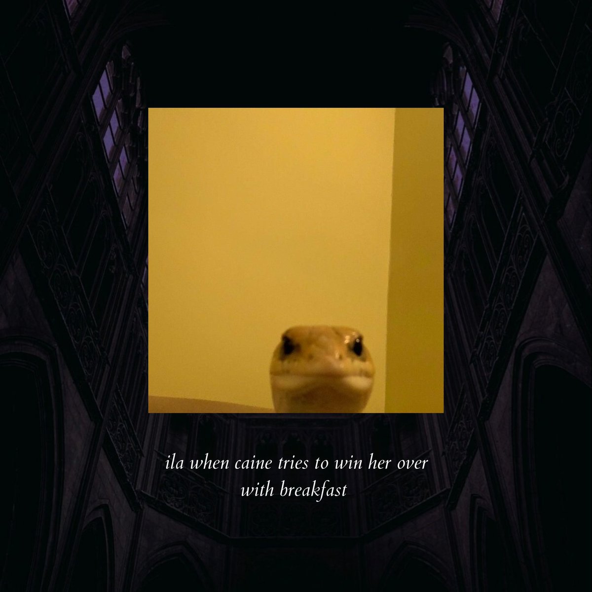 sophia slade | updates only tweet media