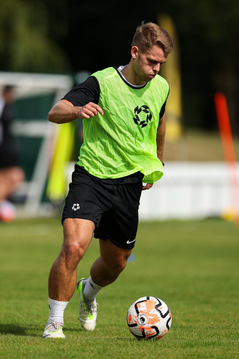 Harrykite16 tweet media