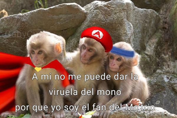 Inmune vv 🫦