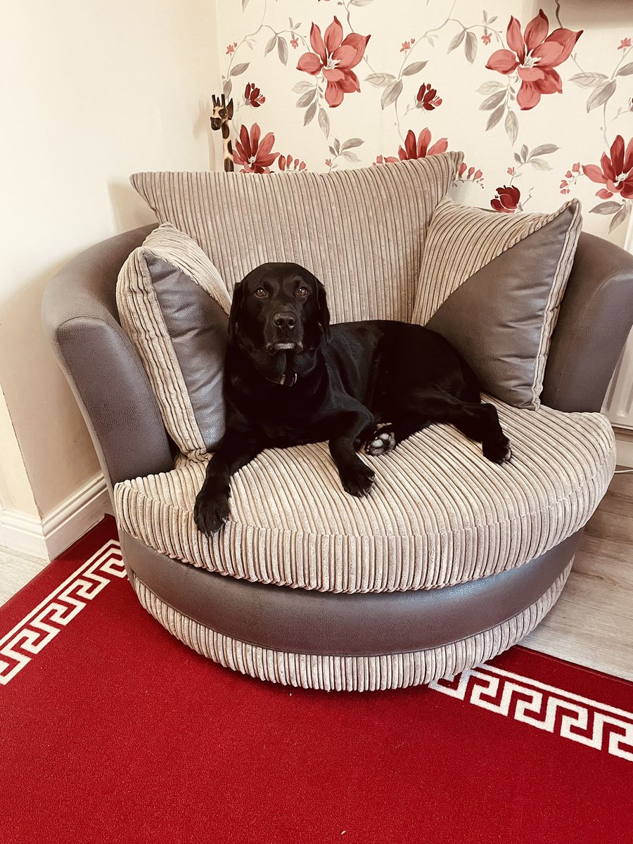 Caroline Woods tweet media