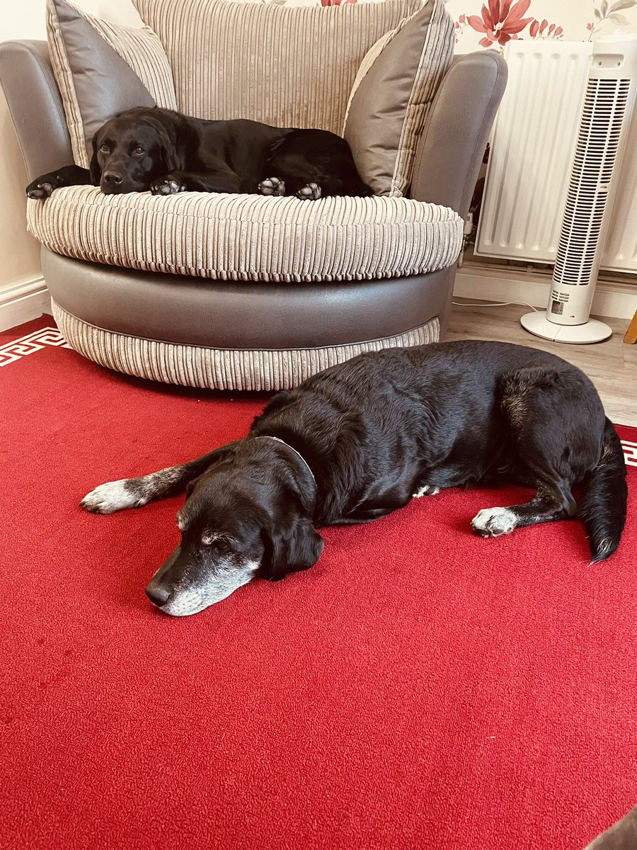 Caroline Woods tweet media