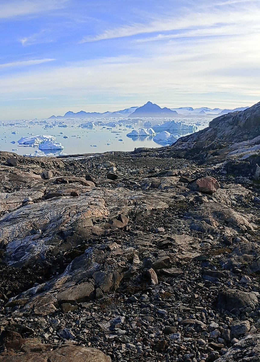 Dave Roberts tweet media