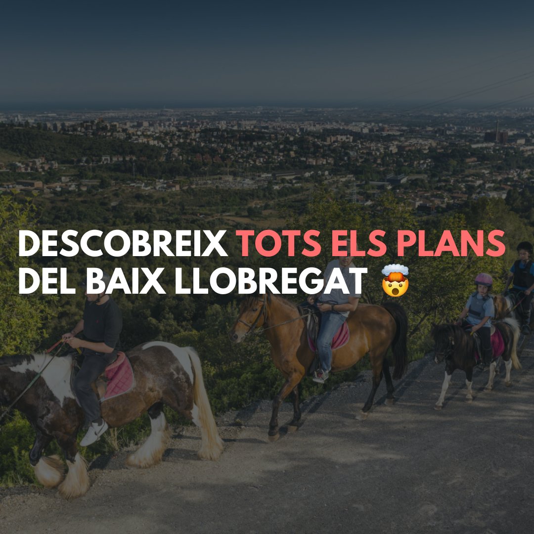 ☀️ Viu l'estiu al Baix Llobregat! ☀️ 

Busques una escapada especial a prop de Barcelona?

Ara, amb el directori d'activitats a Barcelona, pots trobar el teu pla en dos clics.

Consulta tota la informació a l'enllaç ⬇️

barcelonaesmoltmes.cat/agenda