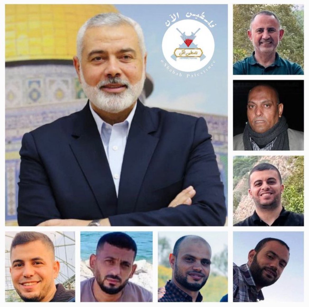 Vivid.🇮🇱 tweet media