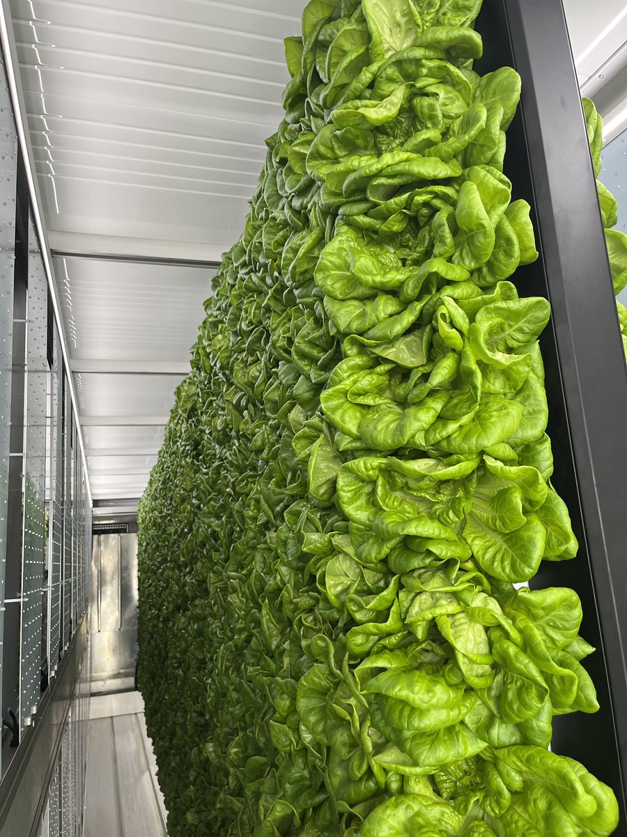 Jeanna Mastrodicasa tweet media