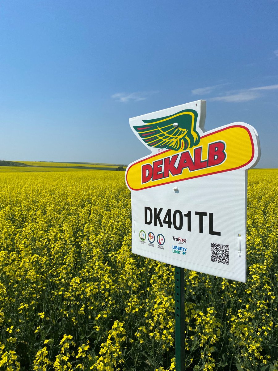 DEKALB Canada tweet media
