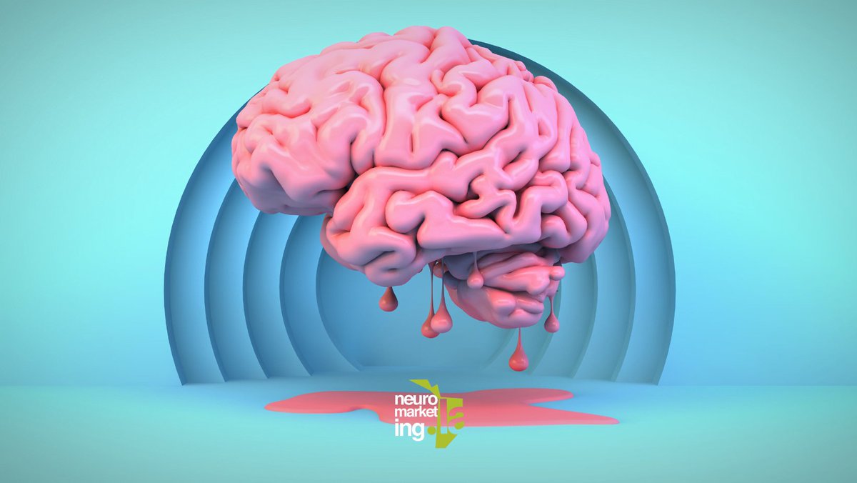 neurolabmadrid's tweet photo. ¿Las neuronas se «derriten» con el calor? https://t.co/ZkNaBCI0x5 https://t.co/5ISC8wMFgH