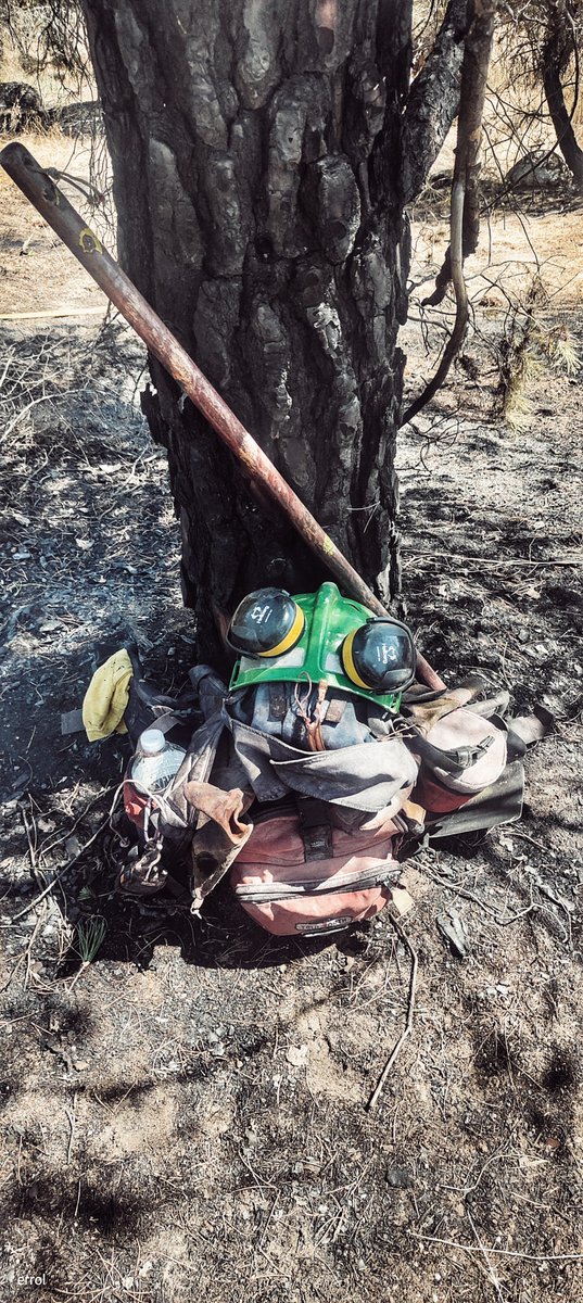SandezSndez1's tweet photo. Debajo de esos cascos suelen ir cabezas, esa mochila va apoyada en unas espaldas y esa azada va a base de riñones, todo entre humo llamas y cenizas

Sin enfermedades profesionales 
Sin segunda actividad
Si coeficiente reductor 

Después todo son alabanzas cuando salen en las foto https://t.co/iarO7Iv5cX