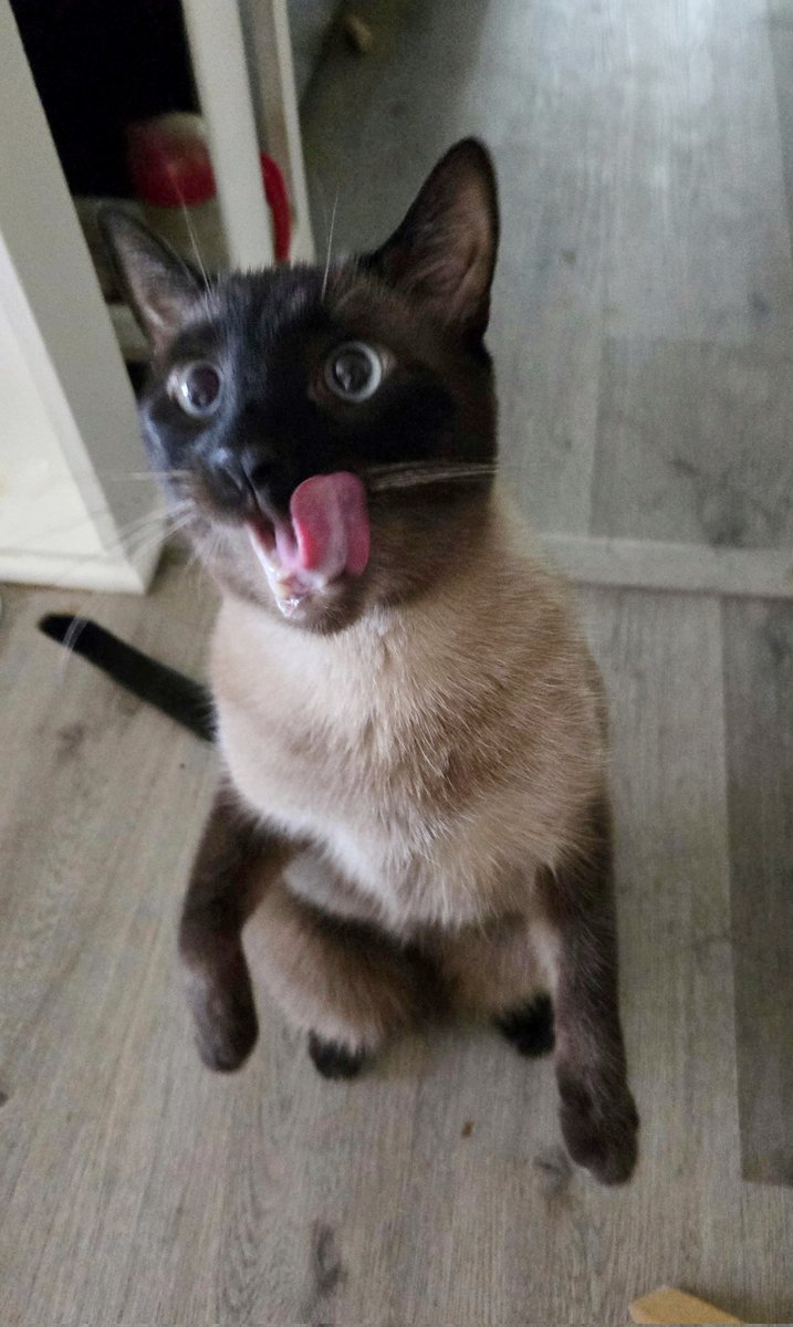 Joy ✌️ tweet media