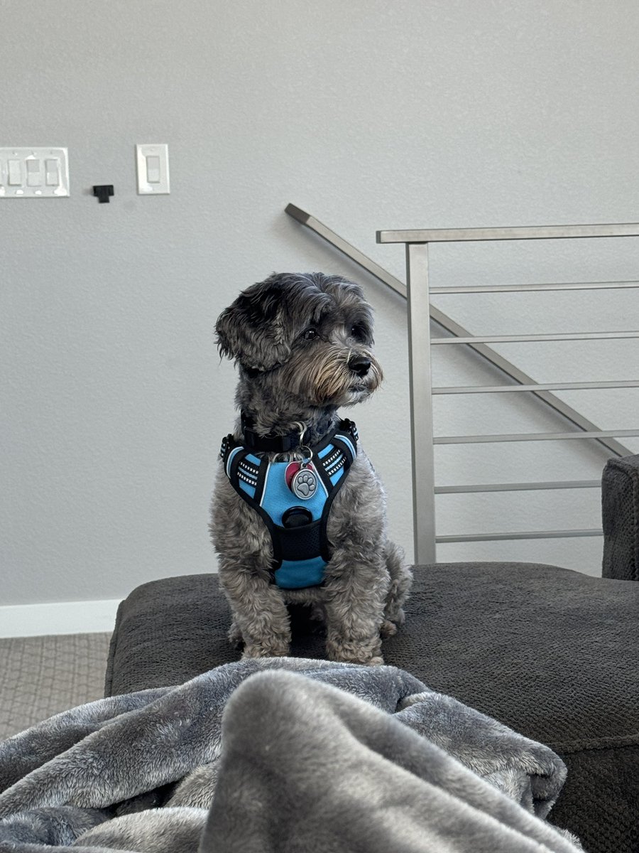 Candy Embray tweet media