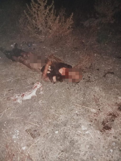 Kamil_Hocca's tweet photo. İstanbul Fatih’te köpeklerin parçalayıp öldürdüğü adam… 21. yüzyıl Türkiye’sinde kucağı am yalatmalık fino köpekli dolgu dudaklı estetikli silikon sarışınların götüne takılan siyasilerin garibana biçtiği ölüm. Biz 3. hatta 4. dünya ülkesiyiz. Biz tüm toplumların en gerisinde kalmış bir toplumuz. İnşallah Fatih belediyesine kayyum atanır ve eski belediye başkanı merhumun ailesine tazminat öder.