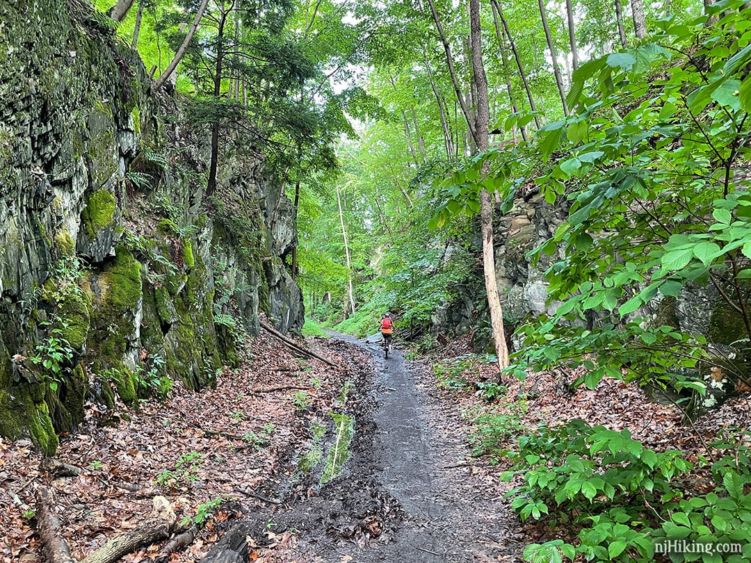 Paulinskill Valley Trail – Hiking/biking on a shady rail-trail along the Paulins Kill river, from Warbasse Junction to Cedar Ridge Road.

njhiking.com/paulinskill-va…

📍 Paulinskill Valley Trail, Sussex County, NJ